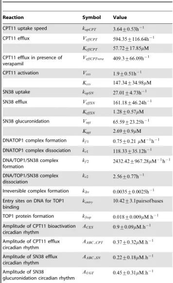Table 2. Parameter values of the CPT11 molecular PK-PD model.