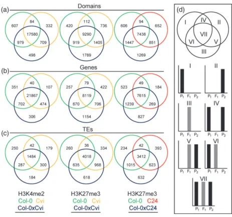 Figure 4. Intersection analysis of domains, genes and TEs associated with H3K4me2 or H3K27me3 in A