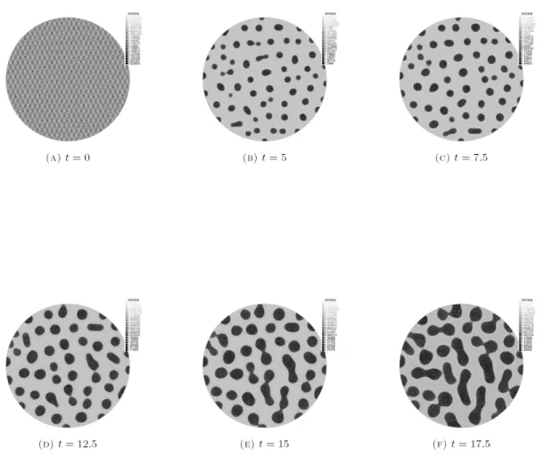 Figure 4: Patterning evolution . Evolution of the density of cells from a small perturbation of the initial uniform state n 0 = 0.1 (t = 0)