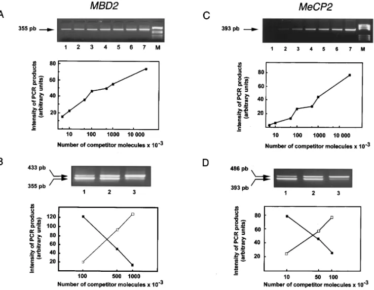 Figure 1 RT ± PCR assay of MBD mRNAs. For each panel, 15 ml of the RT ± PCR reaction (total volume 100 ml) were analysed on a 2% agarose gel containing ethidium bromide