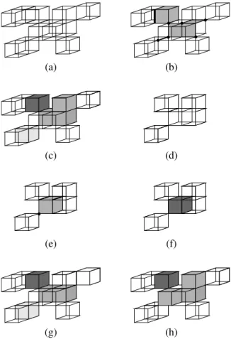 Fig. 5 shows another illustration, on bigger objects, of AsymThinningScheme. Here also, for any x ∈ X, we have Skel X (x) = False (no skeletal voxel)