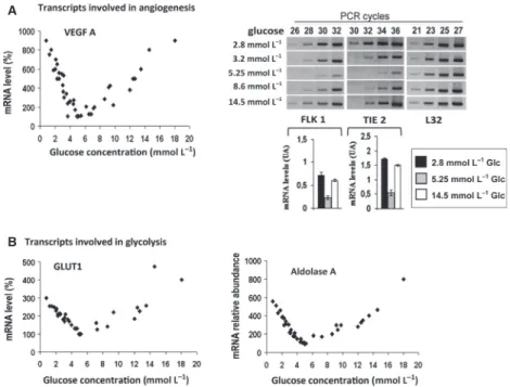 Figure 1. A subset of mRNAs including VEGFA is overexpressed under low and high glucose