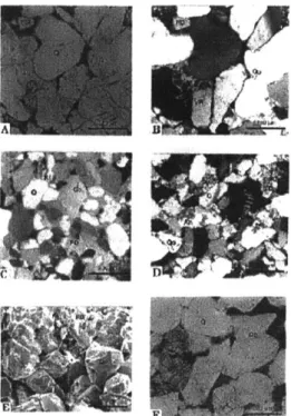 Figure 4.  Tensleep  cementation  types (Courtesy  of Zhang  et.  al)