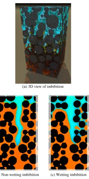 Figure  4  illustrates  imbibition  through a  random  packing of spheres with different diameters
