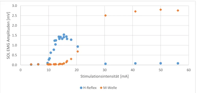 Abbildung 1. H/M-Rekrutierungskurve eines Probanden. Die Intensität der Stimulation wurde kontinuierlich  erhöht bis das Maximum des H-Reflexes und der M-Welle erreicht wurde