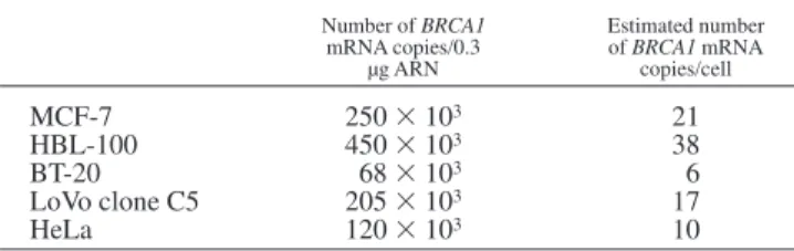 TABLE I – BRCA1 EXPRESSION IN HUMAN CANCER CELL LINES Number of BRCA1 mRNA copies/0.3 µg ARN Estimated numberofBRCA1mRNAcopies/cell MCF-7 250 3 10 3 21 HBL-100 450 3 10 3 38 BT-20 68 3 10 3 6 LoVo clone C5 205 3 10 3 17 HeLa 120 3 10 3 10