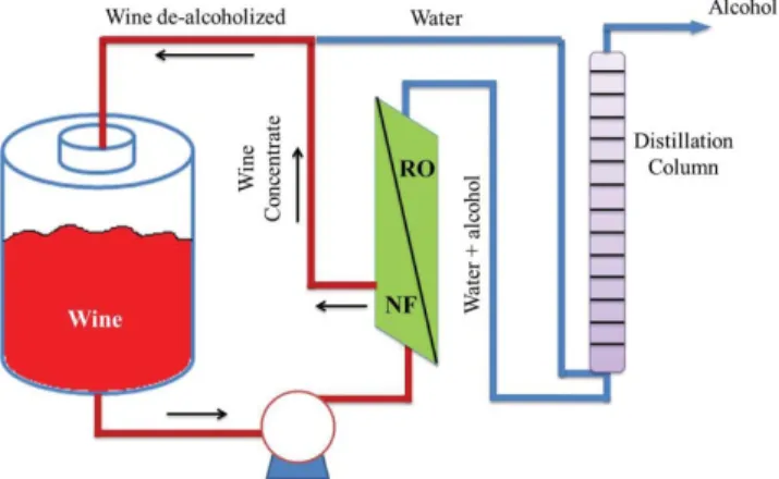 Figure 8 Process of wine de-alcoholization by coupling reverse osmosis or nanofiltration and distillation.