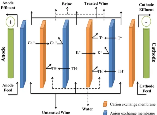 Figure 3 Principle of wine electrodialysis for tartaric stabilization.