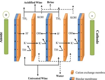 Figure 4 Bipolar membrane electrodialysis for wine acidification.