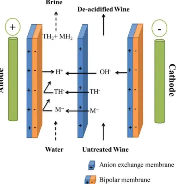 Figure 5 Bipolar membrane electrodialysis for wine de-acidification.