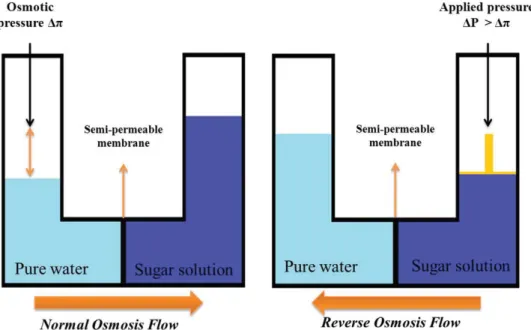 Figure 6 Schematic illustration of normal osmosis and reverse osmosis principle.