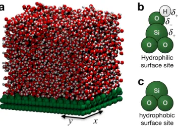 FIG. 2. (a) A snapshot of a simulation of a periodically replicated slab of liquid water in contact with a 6 × 6 nm 2 model silica surface