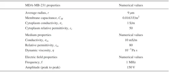 TABLE I. Numerical parameters used in simulations.
