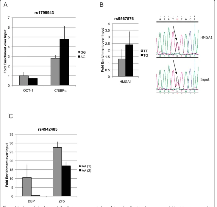 Figure 4 In vivo analysis of transcription factor occupancy at cis -regulatory sites. The data show occupancy fold enrichment compared to chromatin input, and corrected against a negative control