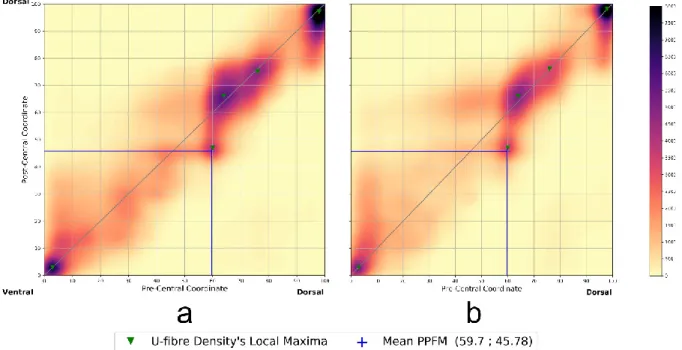 Fig. 5 Connectivity profiles of the left (a) and right (b) central sulcus constructed from the profiles of the 100  subjects  in  the  study  showing  concentration  of  streamlines  along  the  diagonal  with  similar  patterns  between  hemispheres