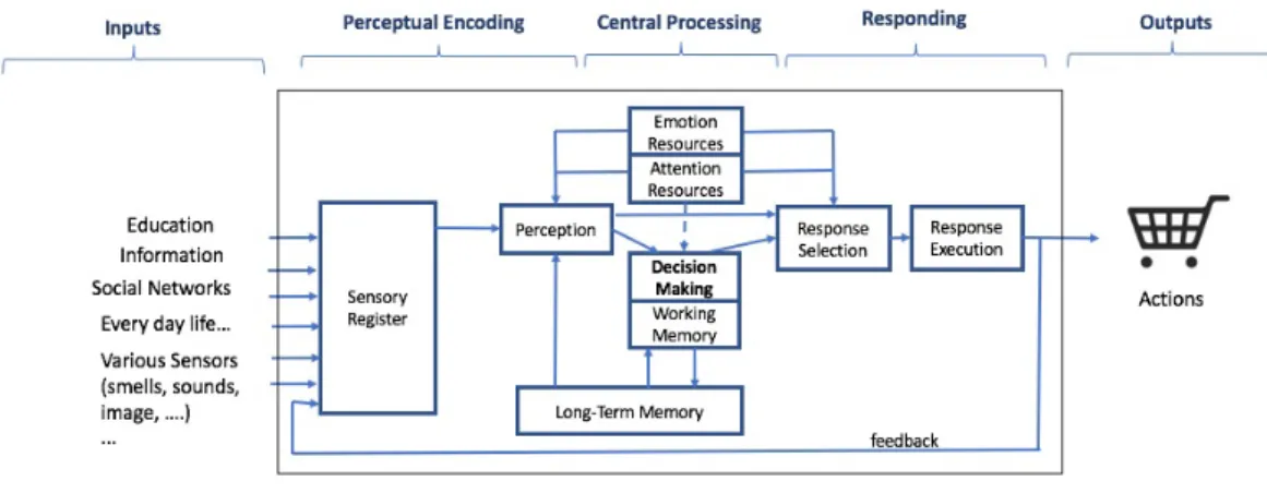 Fig. 2. A Generic Model of Information Processing, ”An Introduction to Human Factor Engineering”