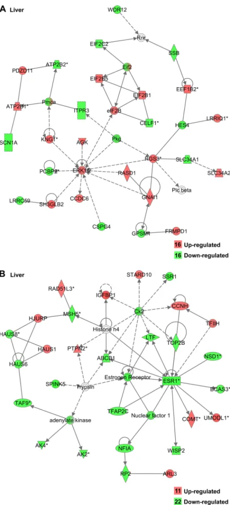 Fig. 2. Gene interaction network in liver after insulin immuno- immuno-neutralization in chicken showing genes involved in cell  sig-naling (A) and the cell cycle (B)
