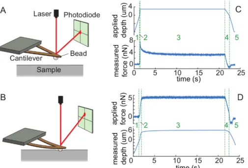 Figure 1. Illustration of AFM-enabled creep compliance and force relaxation experiments