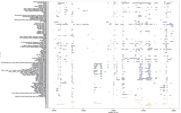 Figure  3.6:  Generation  of  permuted  enhancer  tracks  (orange)  from  real  enhancer  tracks (blue)