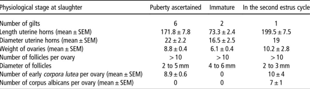 Table 1 Analysis of genital tractus of gilts after slaughter