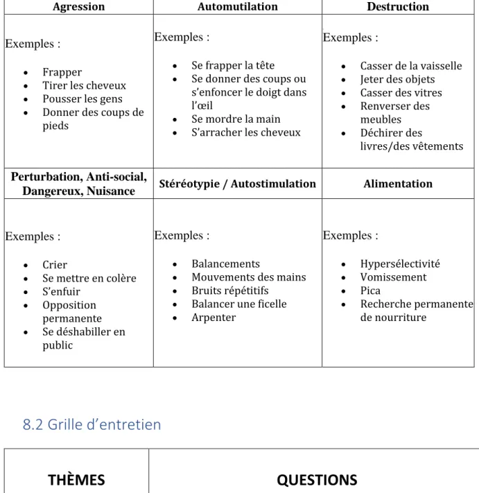 Figure 1.2 : Catégories de comportements défis selon M C  B RIEN  &amp; F ELCE  (1992, traduction et  adaptation personnelle)