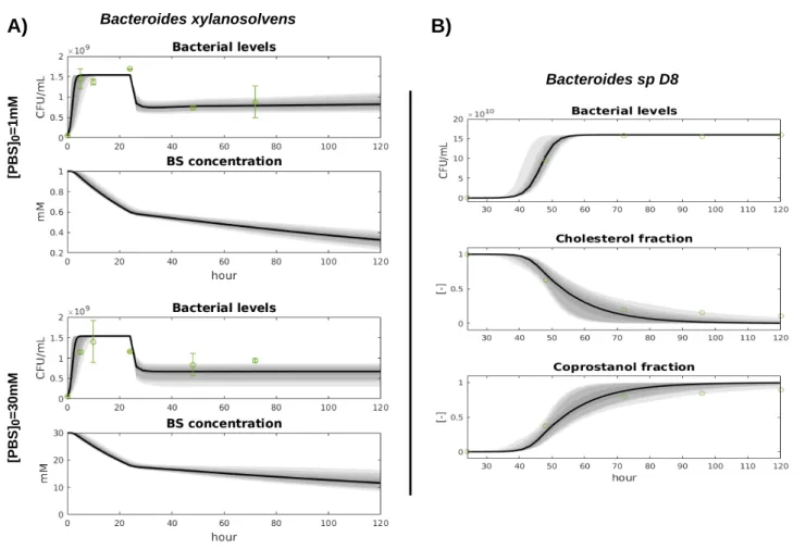 Figure 2. Fit of the bacterial growth models with the data. We display the predictive envelopes of the model by sampling parameter values from the posterior distributions: the black bold line represent the median simulation