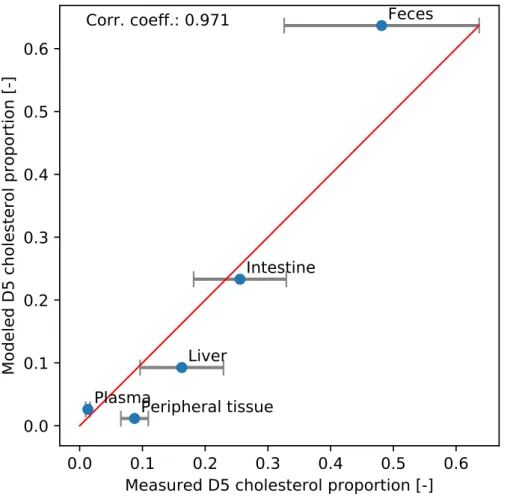 Figure 4. Model validation. The deuterated cholesterol distribution in compartments obtained with the model is plotted against the experimental one