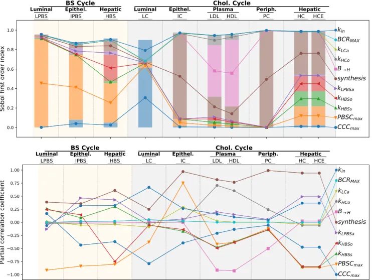 Figure 7. Global sensitivity analysis of steady-state levels of cholesterol and BS in the different compartments