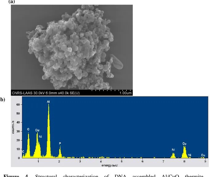 Figure  4.  Structural  characterization  of  DNA  assembled  Al/CuO  thermite  nanocomposites
