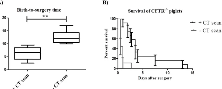 Fig 3. The use of CT scan decreases the birth-to-surgery time and increases the survival rate of CFTR -/- piglets