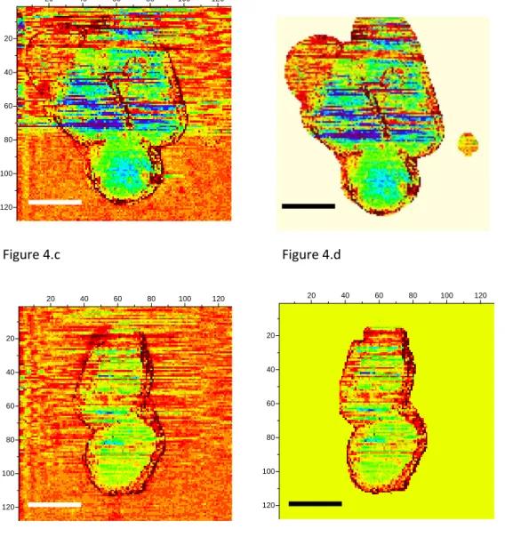 Figure 4.a          Figure 4.b                                      Figure 4.c           Figure 4.d                                       20406080100 120204060801001202040608010012020406080100120 +0.08 nN ‐0.12 nN20406080100120 020406080100120