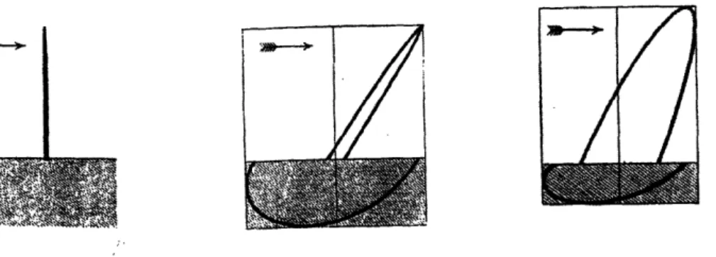 Figure  5  The  polarizations  of  Zenneck's  waves. The  electric  field's  direction  starts  from  the intersection of the vertical line and the ground and ends at points on the curves