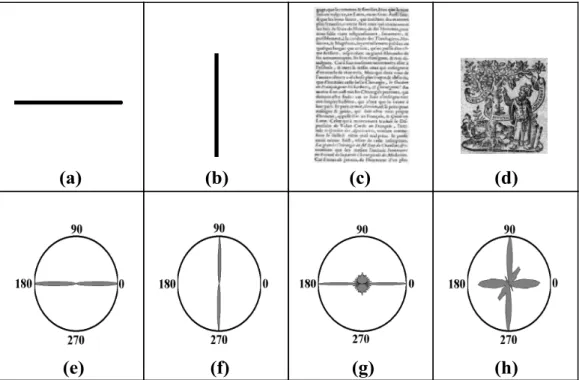 Fig. 5: Examples of the rose of directions. {(a),(b),(c),(d)} are the original images and {(e),(f),(g),(h)} their respective roses of directions.