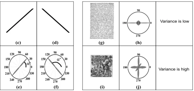 Fig. 6: Examples of main angle and variance of intensities of the rose of directions. {(c),(d)} are the original images and {(e),(f)} are their rose of directions, respectively