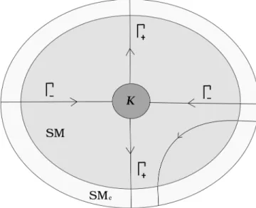 Figure 1. The manifold SM and SM e We also remark that the strict convexity of ∂M and ∂M e implies