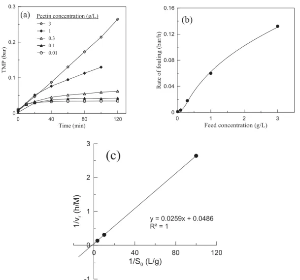 Fig. 6. Effect of amount of Enz SP deposited per membrane area on the rate of fouling and degree of conversion
