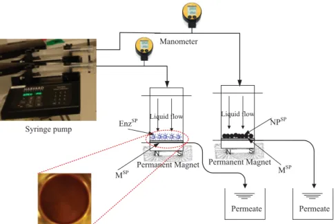 Fig. 1. Schematic illustration of the filtration set-up containing a syringe pump with two heads, two syringes each with 100 mL capacities, dead end filtration cell containing dynamic layer of pectinase activated magnetic nanoparticles (Enz SP ), parallel 