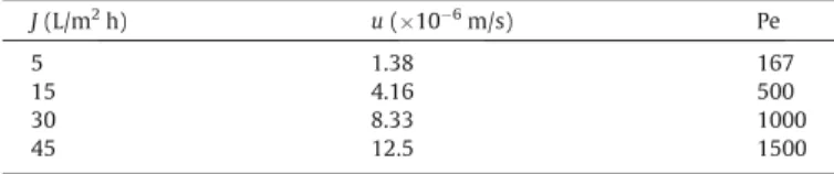 Fig. 2. a): Surface and b): cross-sectional SEM image of the biocatalytic layer containing 4.8 mg of Enz SP , revealing an average bed thickness of 2–3 l m on the top of the membrane active layer