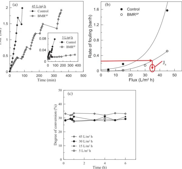 Fig. 3-b shows the effect of flux on the rate of fouling (Eq. (11)) for a BMR SP and a parallel control system