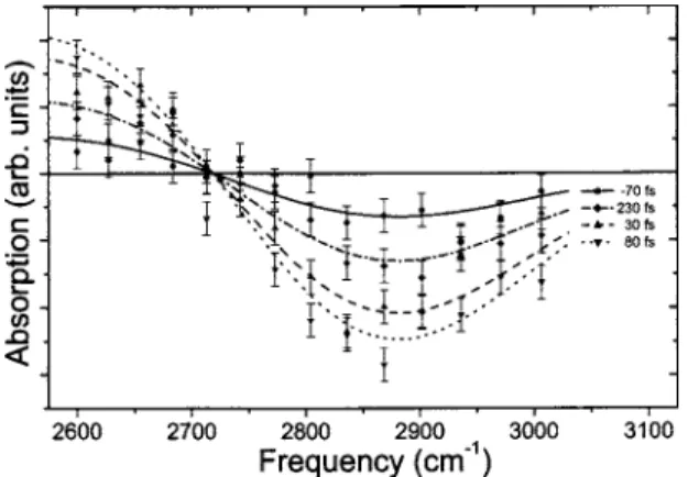 FIG. 5. Differential absorption of HCl 共0.5M兲 and H 2 O as a function of the pump-probe delay