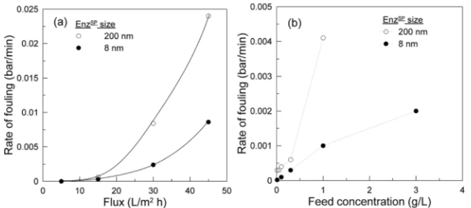 Fig. 12 E ﬀ ect of particle size on the rate of fouling de ﬁ ned as change in TMP per unit time for BMR SP operated using an 8 nm home-made Enz SP and a 200 nm commercial Enz SP at 40  C; 0.3 g L 1 feed concentration and 3 g m 2 Enz SP amount (a) at di ﬀ e