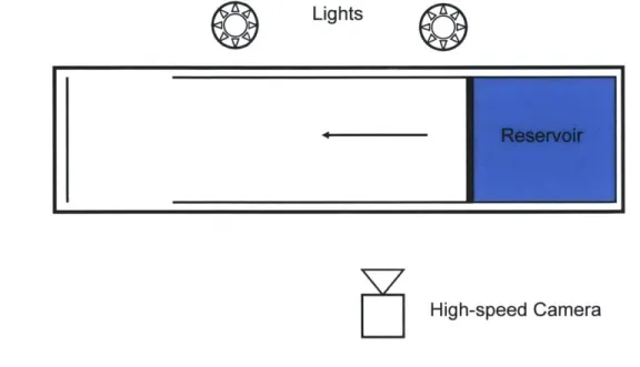 Figure  2-1:  This  is  a  top  view  diagram  of  the  experimental  set  up.  The  camera  was placed  in  front  of  the  tank  while  the  two  strobe  lights  were  behind  with  the  timing box