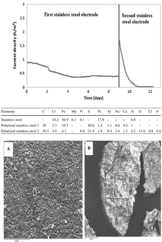 Fig. 1 Current density provided by a 254SMO stainless steel anode polarized at 0.2 V/SCE in raw tannery wastewater
