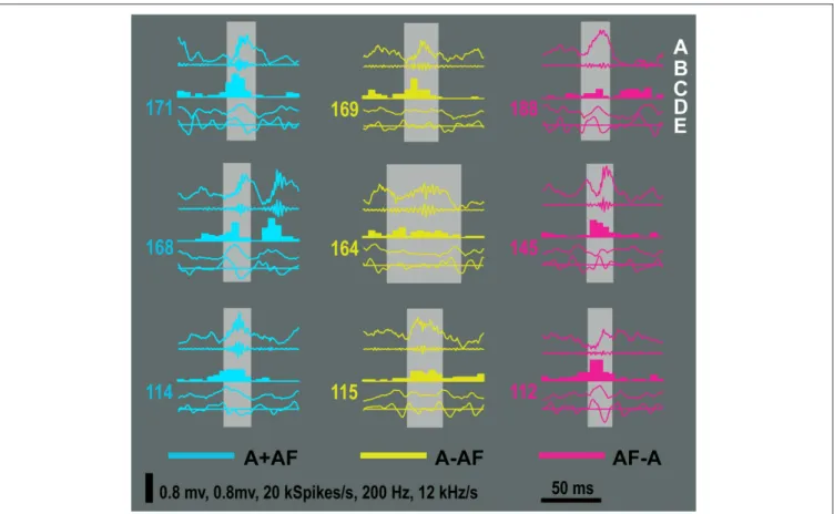 FIGURE 10 | Examples of ripples from the mutually inclusive (A + AF) and mutually exclusive categories (A − AF and AF − A)