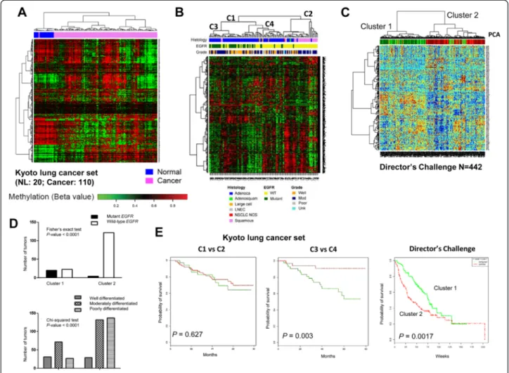 Figure 3 NSCLC SRAMs are differentially methylated between normal and tumor tissues segregate into molecular pathologic subtypes.