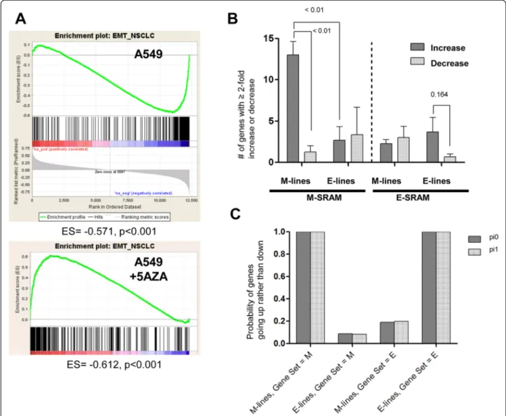 Figure 5 SRAMs induced with 5AZA are strongly associated with M cell lines. A) GSEA of SRAMs in A549 (M-type cell) finds a substantial proportion of genes to have a negative association with gene sets that are repressed during cell migration and EMT states
