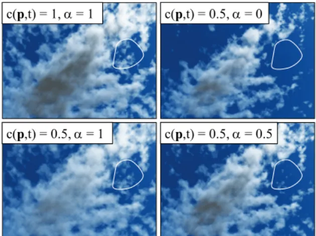 Figure 7 shows examples of control fields drawn by the user to obtain special effects such as a heart-shaped cloud cover, the  con-densation trails, or the hole in the dense cumuliform cloud cover matching a high mountain peak.