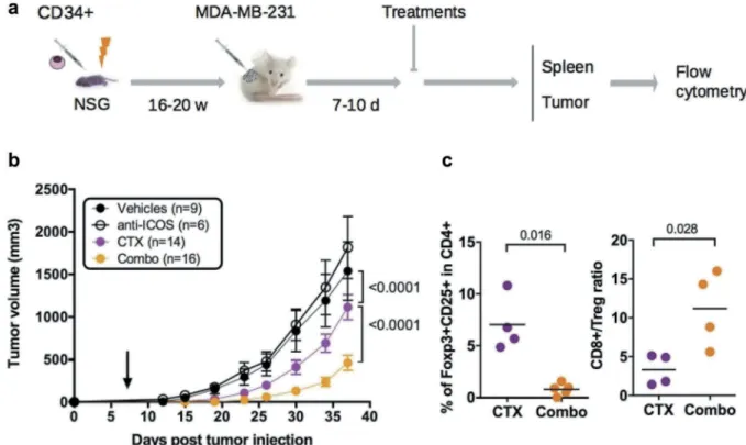 Figure 6. Impact of anti-ICOS mAb on tumor growth in HuMice. (a) Experimental design of the study, as detailed in the text
