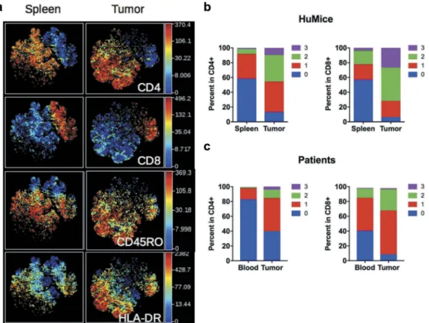Figure 3. Activation status of Tumor-infiltrating T cells of HuMice and breast cancer patients
