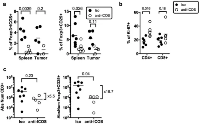 Figure 5. Impact of anti-ICOS mAb on Treg in humanized mice. (a) Frequencies of FOXP3 + ICOS + or FOXP3 + CD25 + cells in CD4 + CD3 + T cells and of (b) Ki-67+ cells in CD3 + T cells in the spleen and tumor of HuMice injected with isotype control (Iso) or 